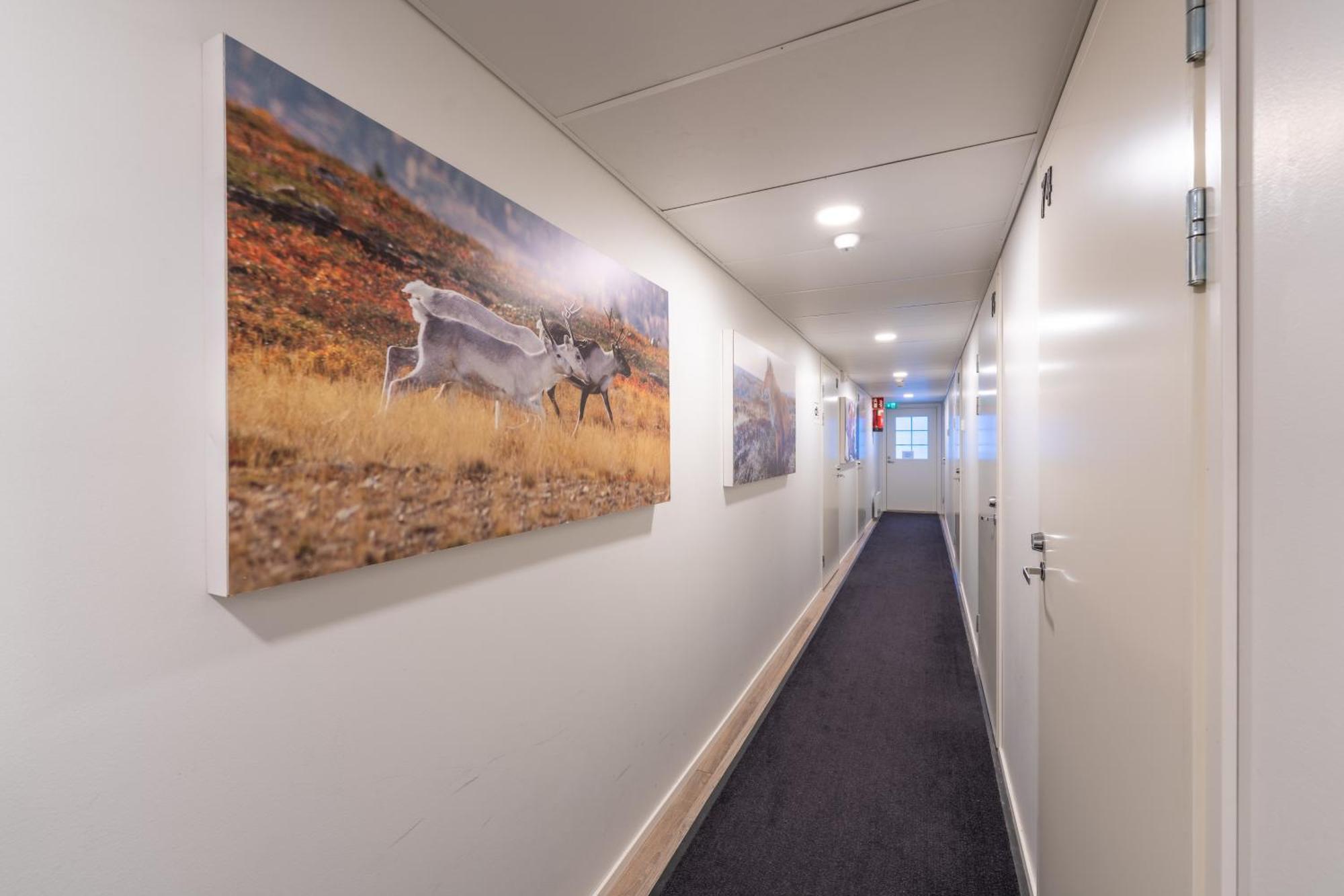 Kuukkeli Saariselkae Inn Bagian luar foto